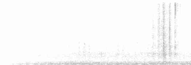 Haarspecht [villosus-Gruppe] - ML539897