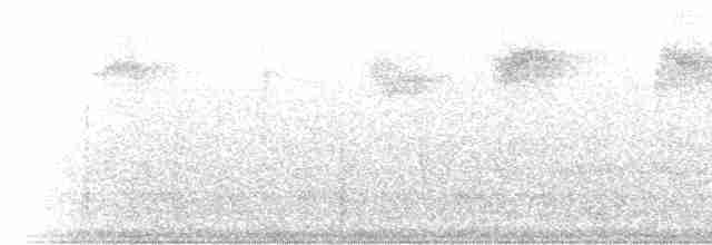 Pileated Woodpecker - ML539898