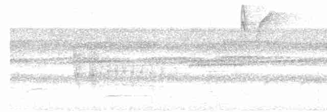 Rostflanken-Ameisenschnäpper - ML539901441