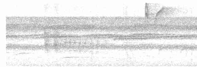 Rostflanken-Ameisenschnäpper - ML539902931