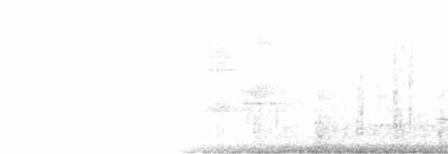 hvitbrynsvartspett - ML539906