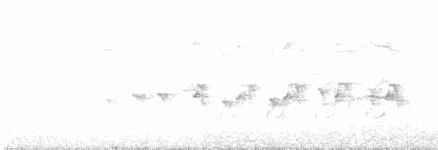 Swallow-tailed Kite - ML539910401