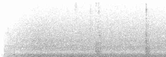 hvitbrynsvartspett - ML539917