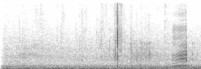 Pileated Woodpecker - ML539936