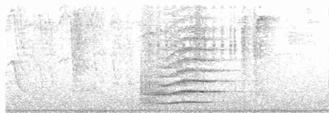 Plate-billed Mountain-Toucan - ML539937241