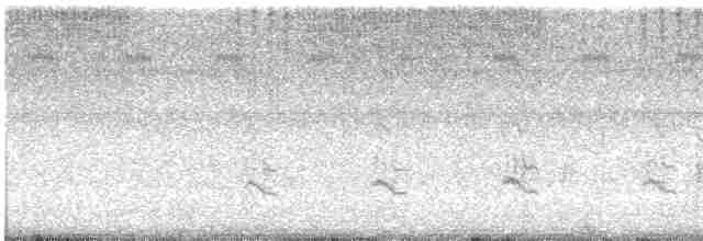 Kuliska hankahori handia - ML539938571