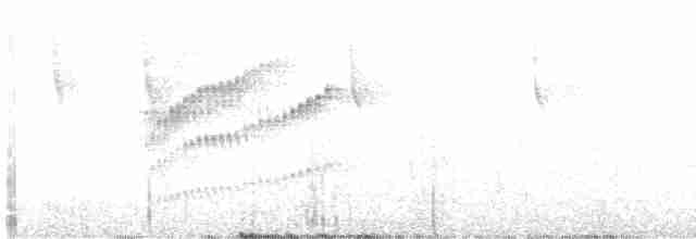 Spot-breasted Wren - ML539957611