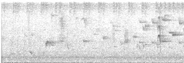 Gray Fantail (alisteri) - ML539990491