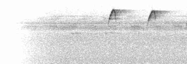  - Orange-fronted Plushcrown