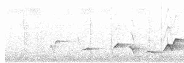 Gray Whistler (Brown) - ML540064711
