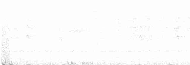 Tasmanerddrossel - ML540088171