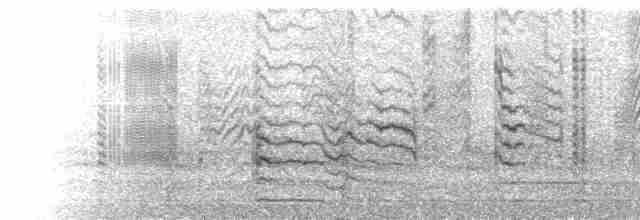  - Chestnut-collared Swallow