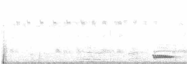 akasieugle (senegalensis) - ML540122101