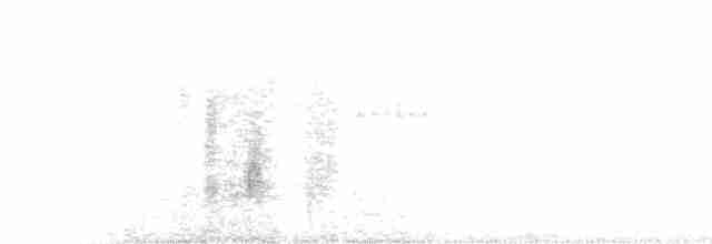 Graustirn-Dickichtschlüpfer - ML540157331