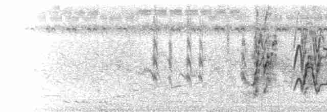  - Lesser Whistling-Duck