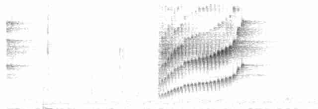 Spot-breasted Wren - ML540179911