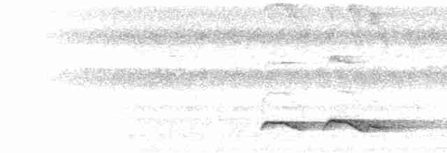  - Common Hawk-Cuckoo