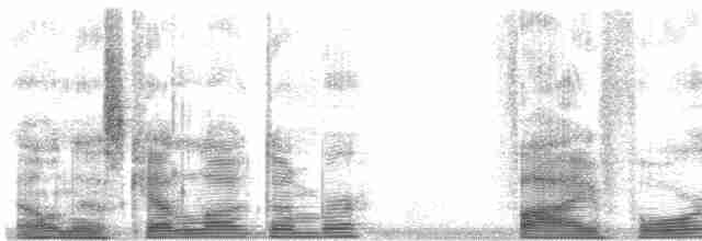  - Philippine Collared-Dove