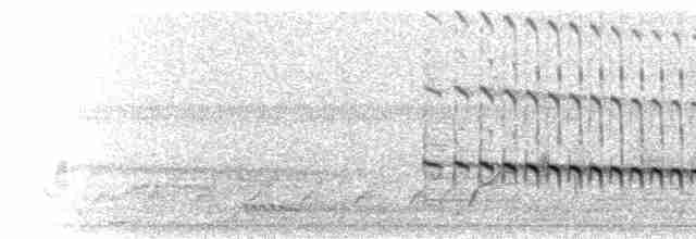  - White-throated Kingfisher