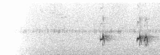  - Blue-tailed Bee-eater