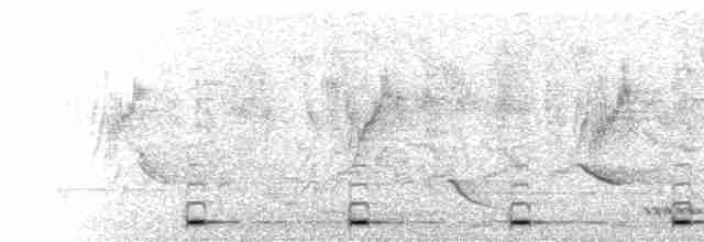  - Coppersmith Barbet