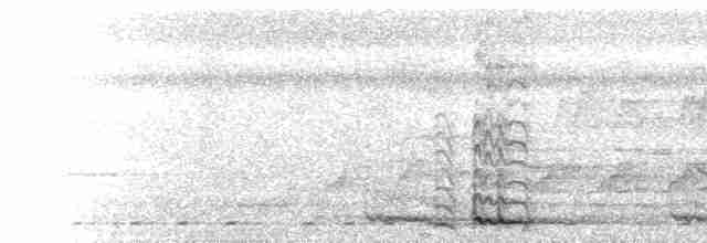  - Brown-headed Barbet