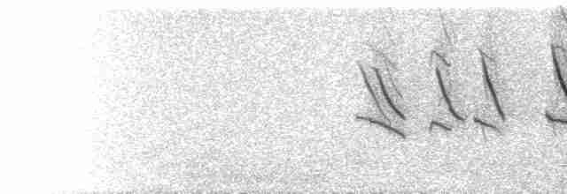  - Wire-tailed Swallow