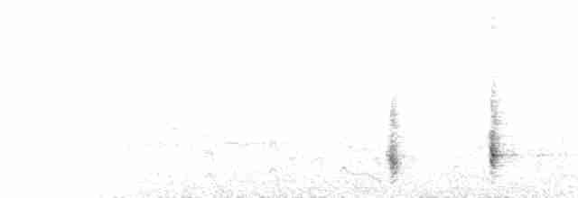  - Clamorous Reed Warbler (Clamorous)