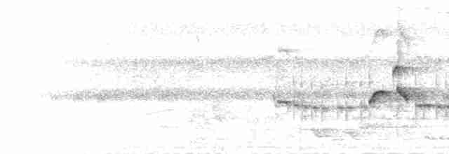  - Yellow-billed Babbler