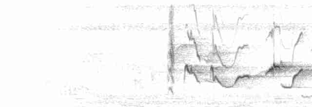  - Oriental Magpie-Robin (Oriental)