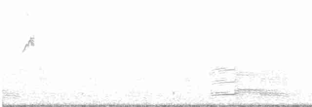 Гуска сіра (підвид anser) - ML540415581
