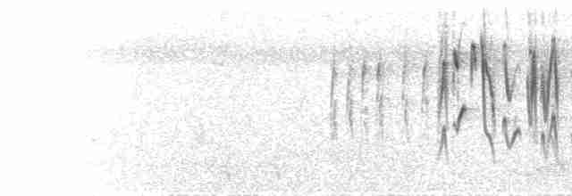  - Crimson-backed Sunbird