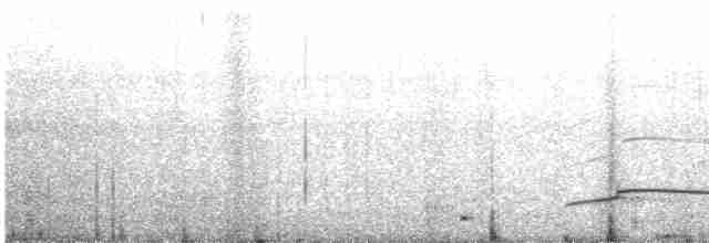 orlík chocholatý [skupina cheela] - ML540433001