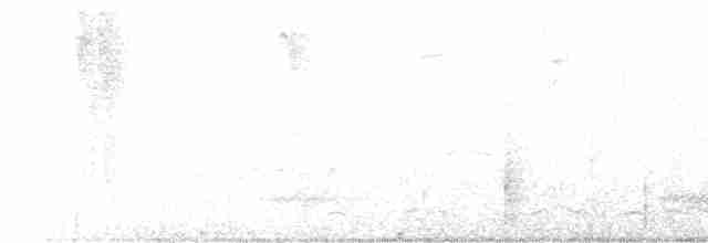 Geai à nuque blanche - ML540464691