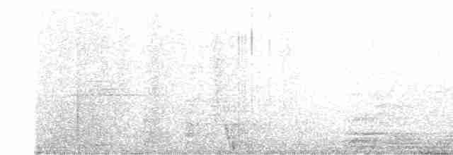 Large-tailed Nightjar - ML540492941