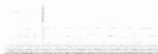Montane Nightjar - ML540513661