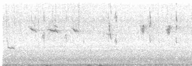 White-throated Dipper - ML540521551