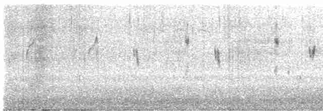 White-throated Dipper - ML540521571