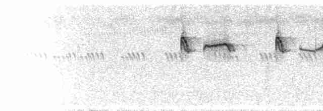  - Common Kingfisher (Common)