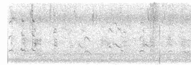 Western Cattle Egret - ML540529931