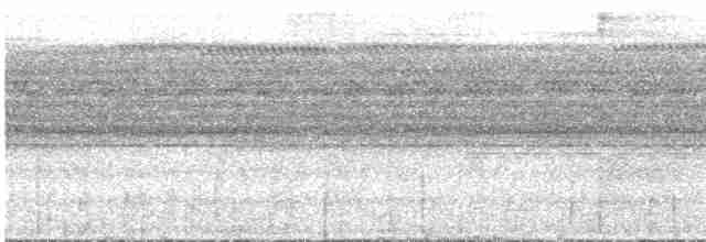Variegated Tinamou - ML540601611