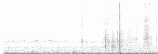jeřáb kanadský - ML540603801