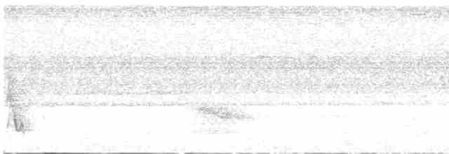 Sarı Pınarlı Karıncabülbülü (notatus) - ML540819471