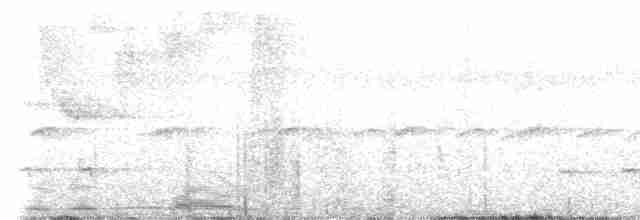 Northern White-fringed Antwren - ML540828211