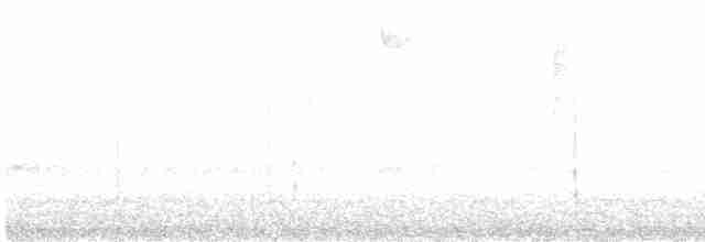 Pale-legged Warbler - ML540847821