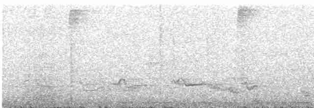 Short-tailed Antthrush - ML540939621
