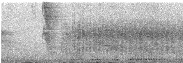 Ceara Gnateater - ML540939781