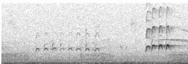 Whimbrel - ML540944221