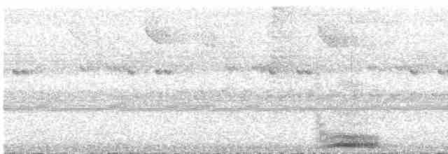 Пятнистоклювый туканчик - ML540982721