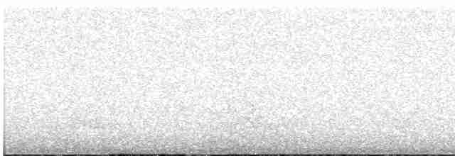 Tinamou à tête rousse - ML540989001